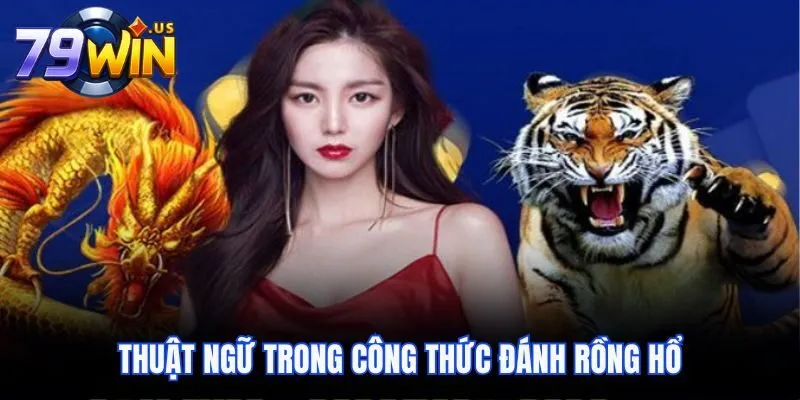 Thuật ngữ trong công thức đánh Rồng Hổ